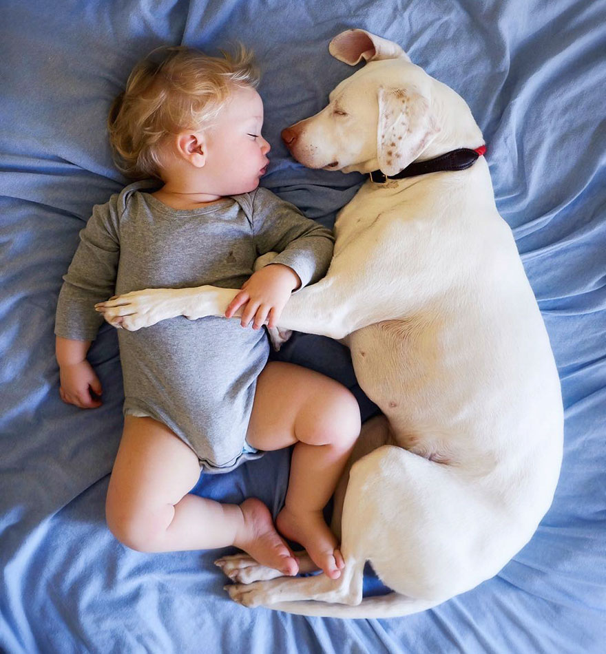 perro-bebe