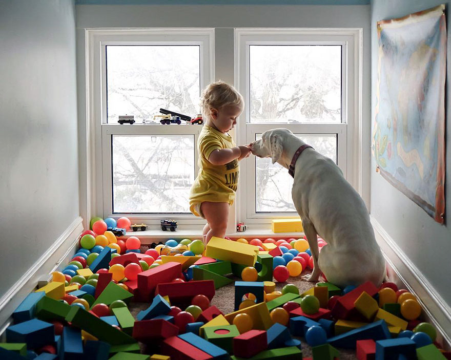 perro-bebe