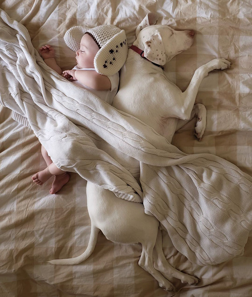 perro-bebe
