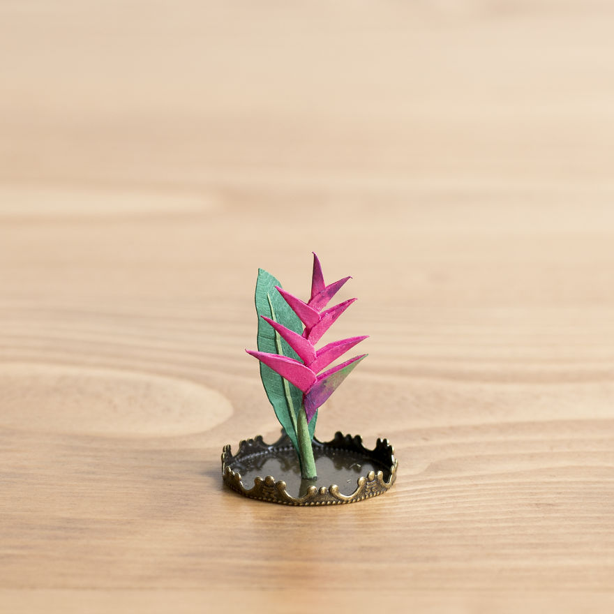 plantas-miniatura-papel