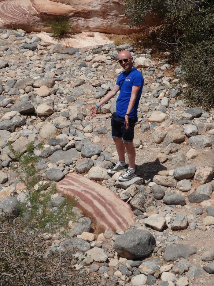 roca-bacon