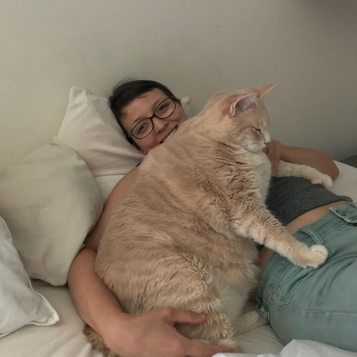 gato-de-15-kilos