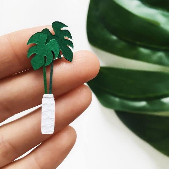plantas-papel-sin-tijeras