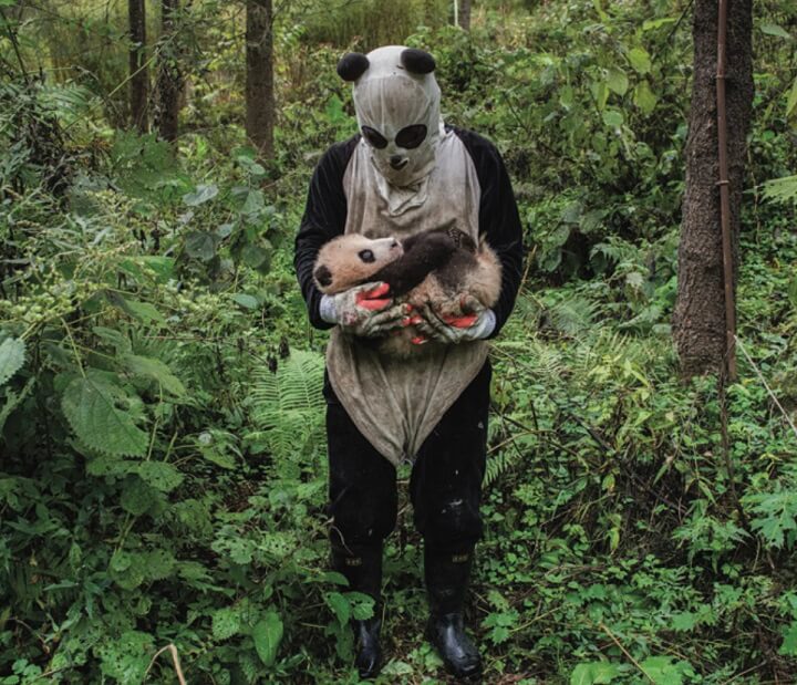 Ami-Vitale-pandas