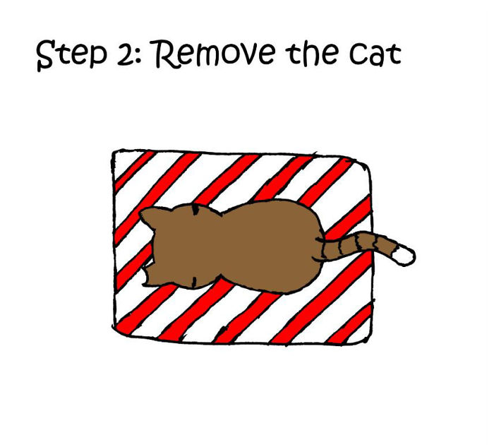 gato-regalo