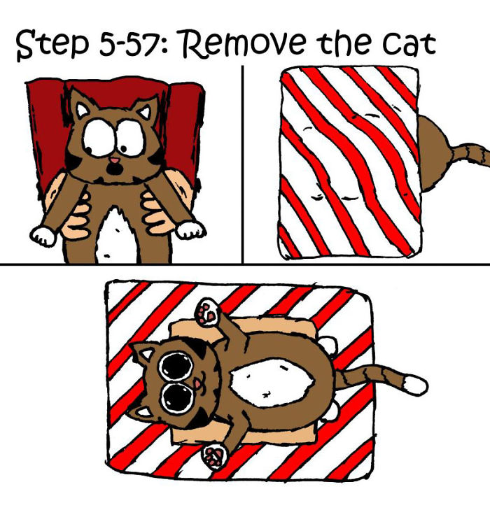 gato-regalo