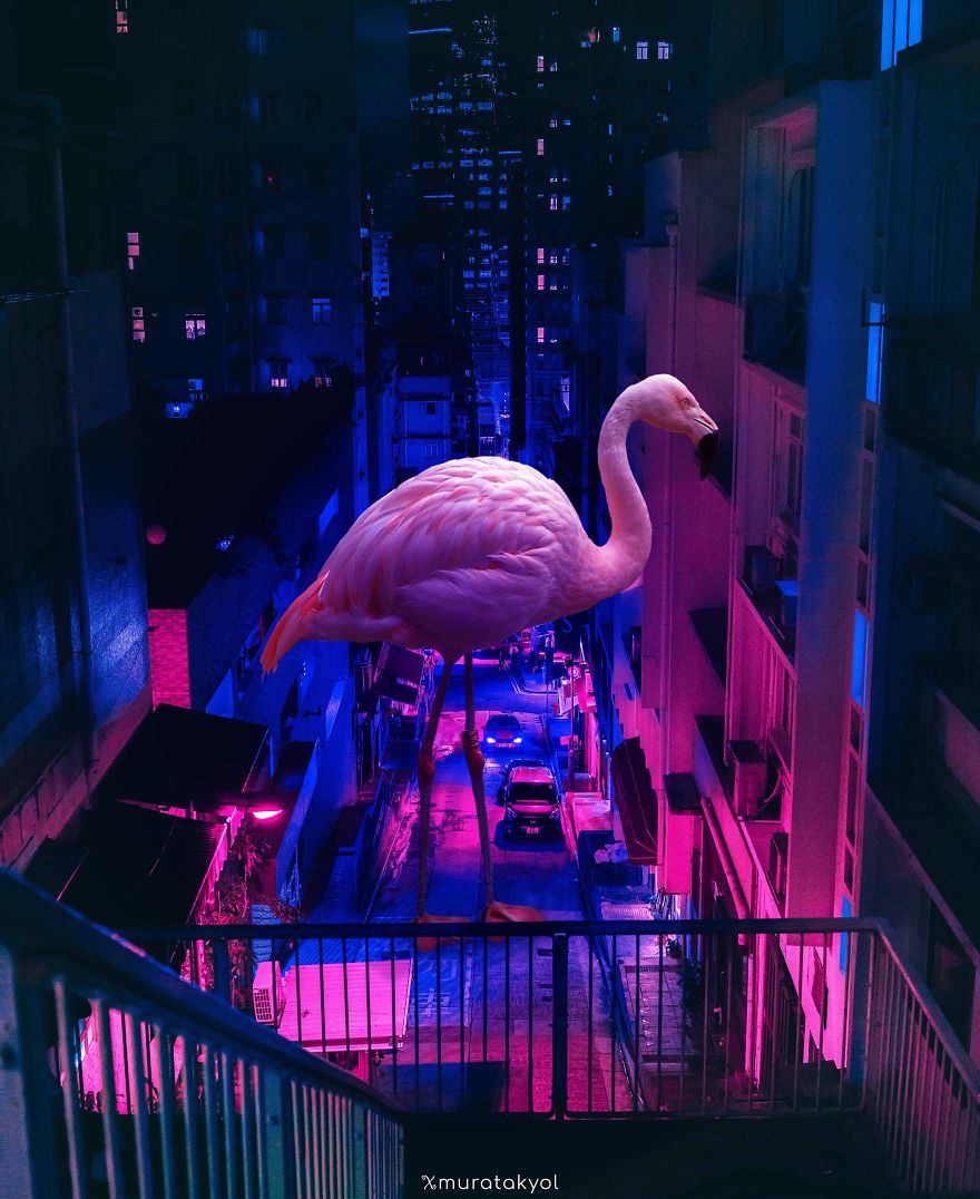 imagen-surrealista