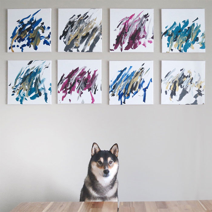 shiba-inu
