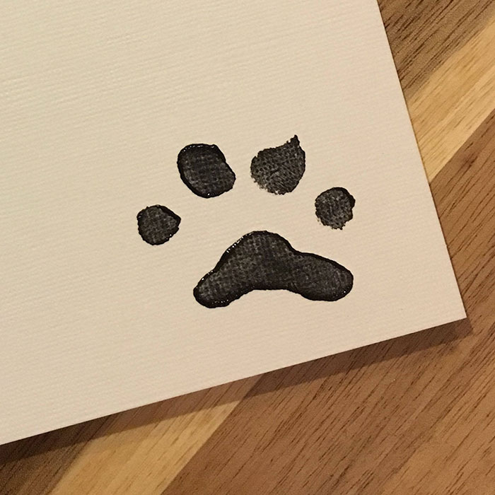 shiba-inu