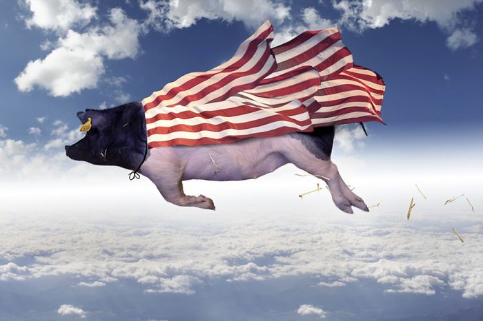 animales-Photoshop
