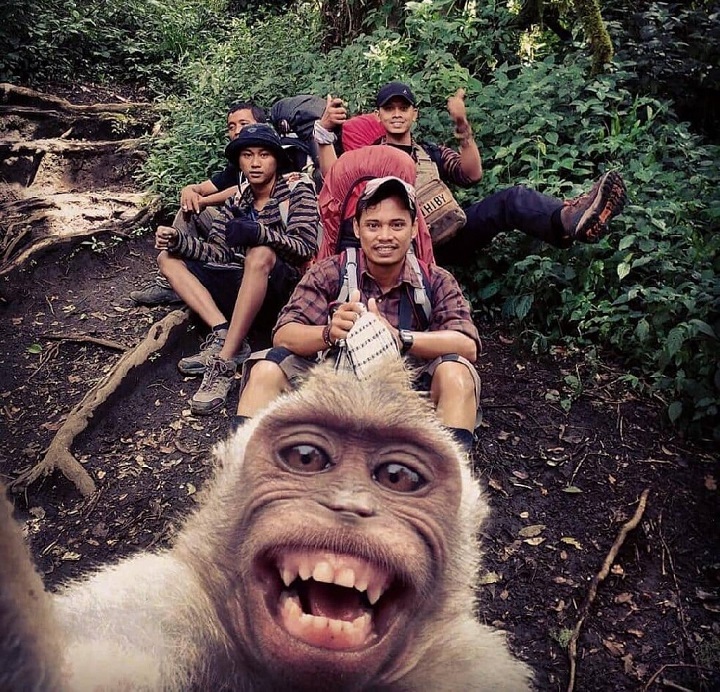 mono-haciendo-un-selfie