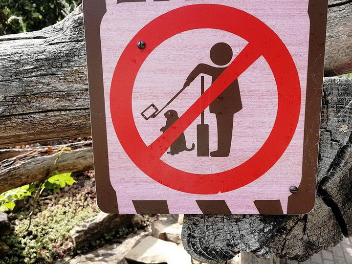 prohibido-hacerse-selfies-con-los-animales