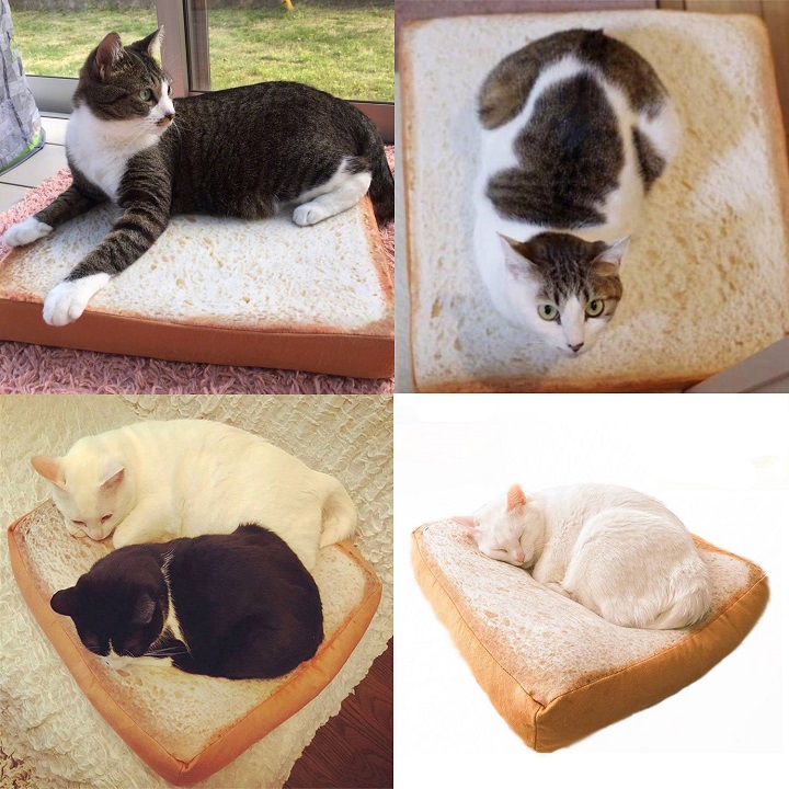 cama-pan-de-molde-gatos