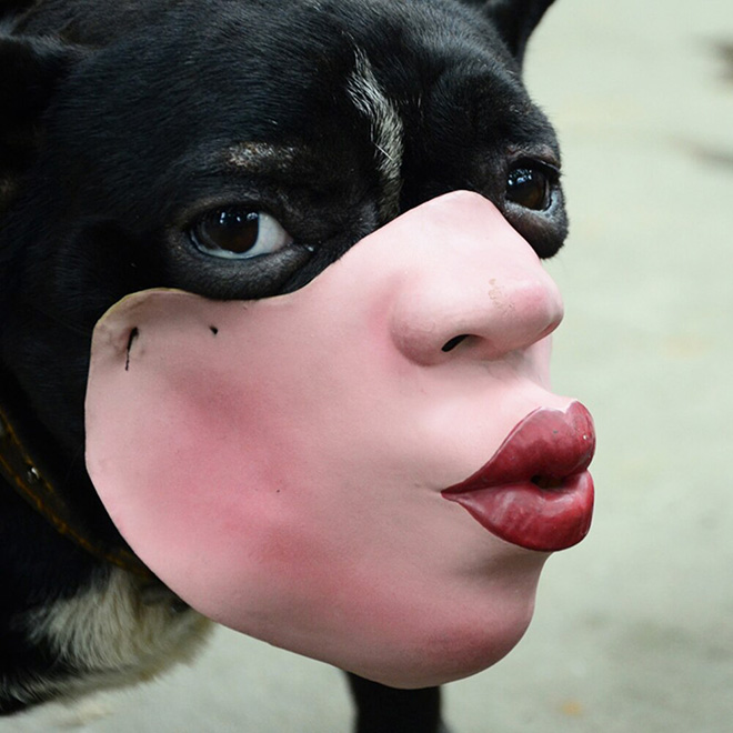 mascaras-humanas-perros