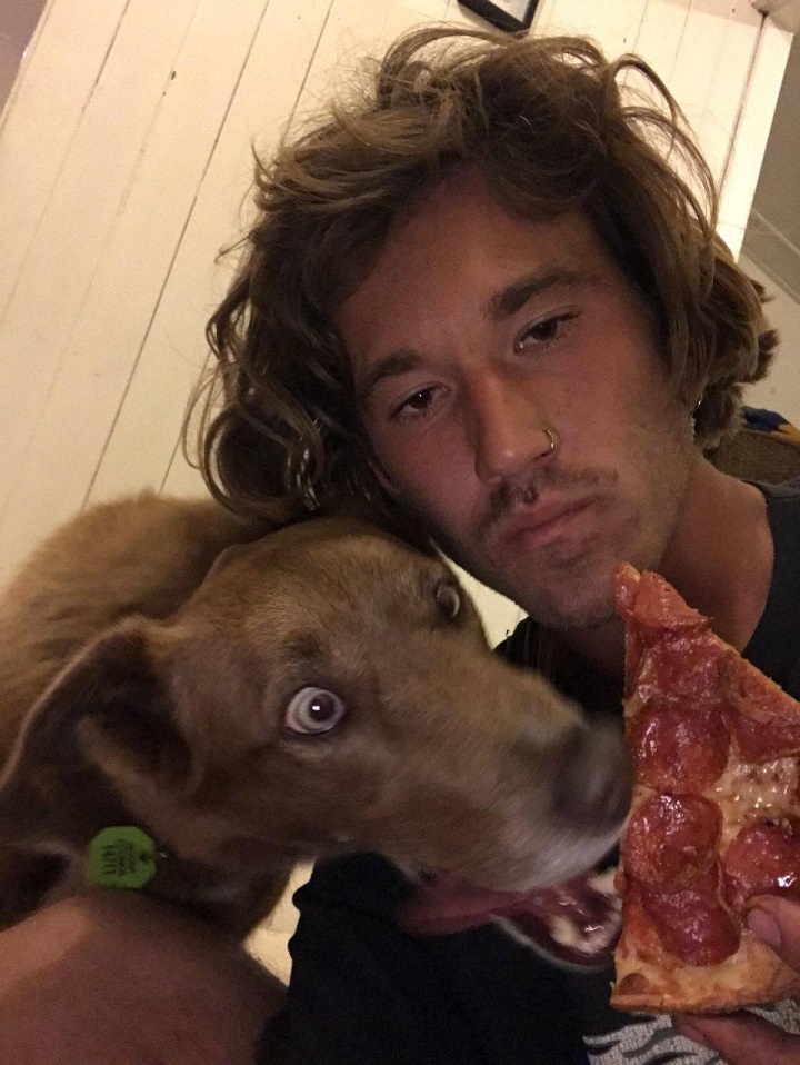 perro-loco-por-el-peperoni