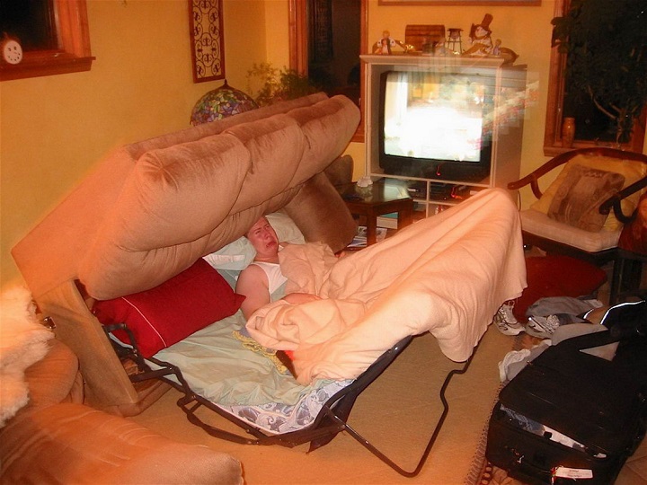 sofa-cama-carnivoro