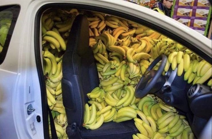 transportista-de-platanos